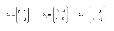 PauliSpinMatricies.gif (2269 bytes)