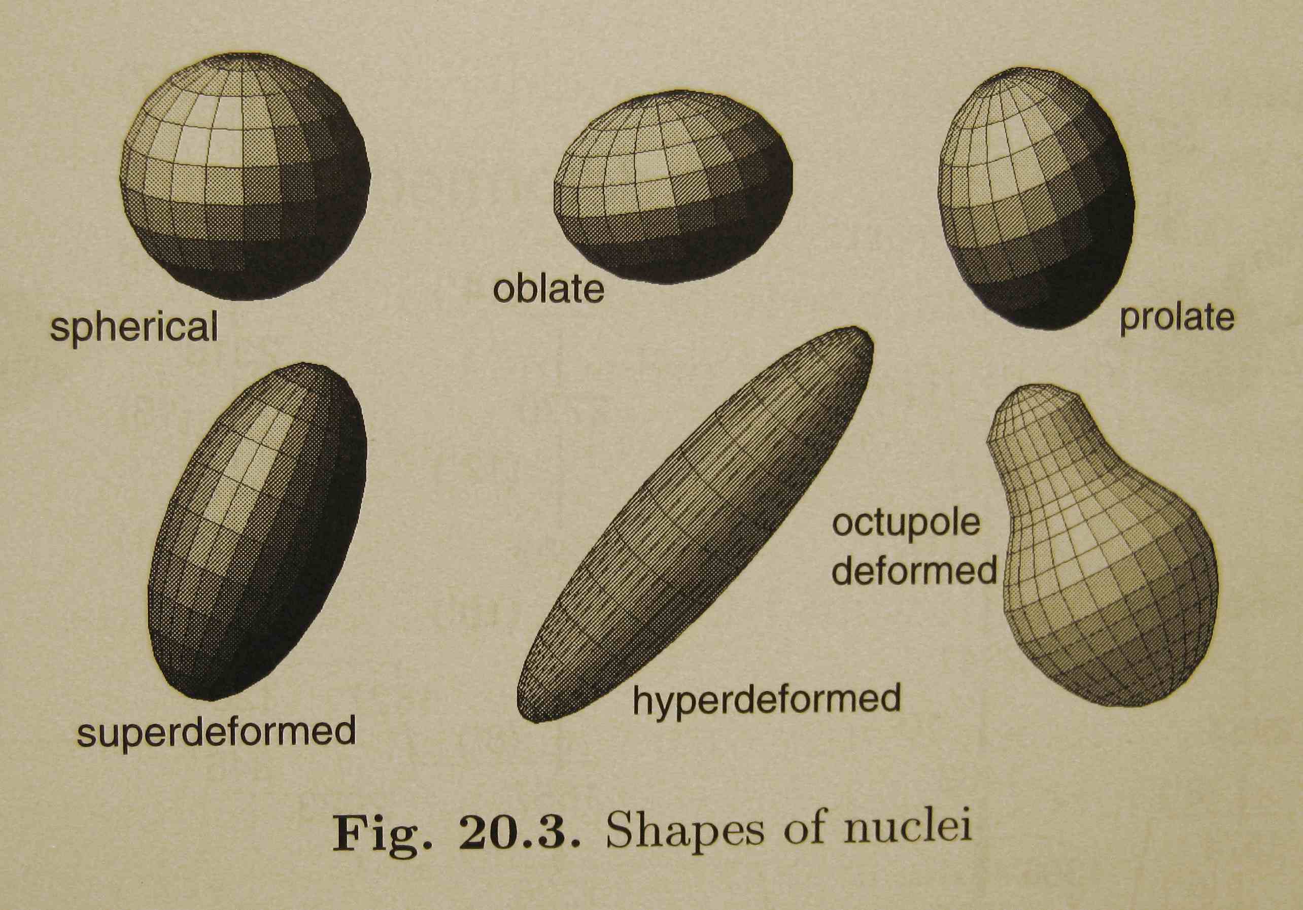 ShapeOfNuclei.jpg (228289 bytes)